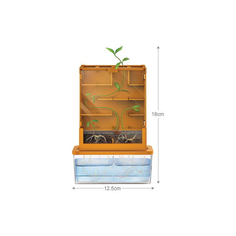 Green Science Grow A Maze